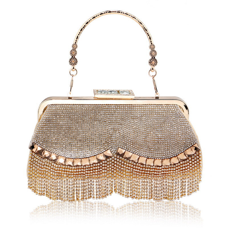 High End Fringed Evening Bag